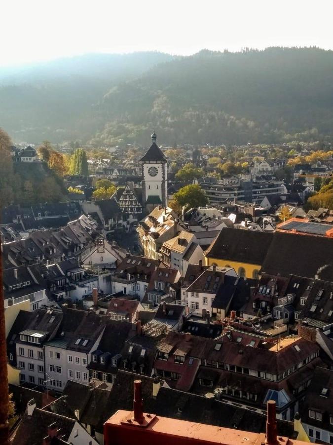 Ferienwohnung Luxus Penthouse Whiterussian Freiburg im Breisgau Exterior foto